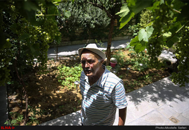 چند ساعتی با رضا بانگیز