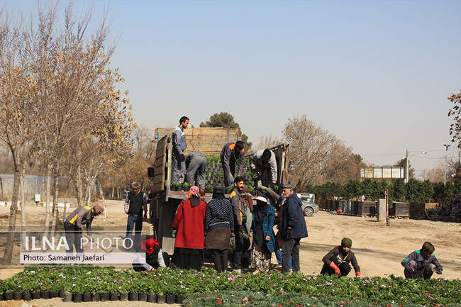 مشهد در تدارک استقبال از بهار ۱۴۰۲ 