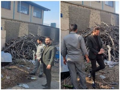 جمع آوری یک واحد زغال گیری غیرمجاز در شهرقدس