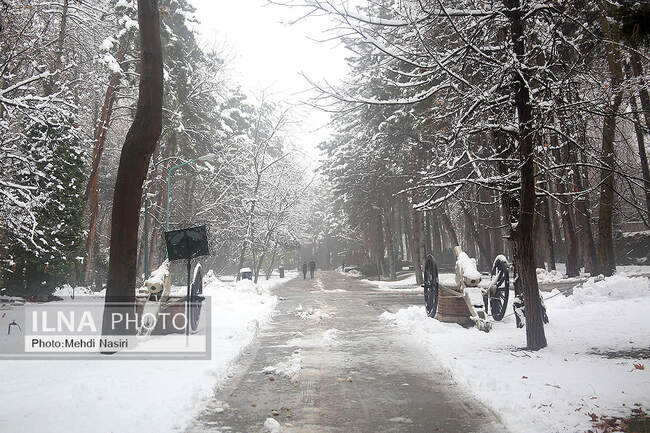 برف زمستانی در سعدآباد