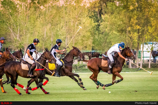 رقابتهای چوگان جام مدافعین حرم- بزرگداشت شهید حججی/مسابقه تیمهای نور