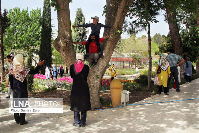 بازدیدمسافران نوروزی ازباغ ارم شیراز