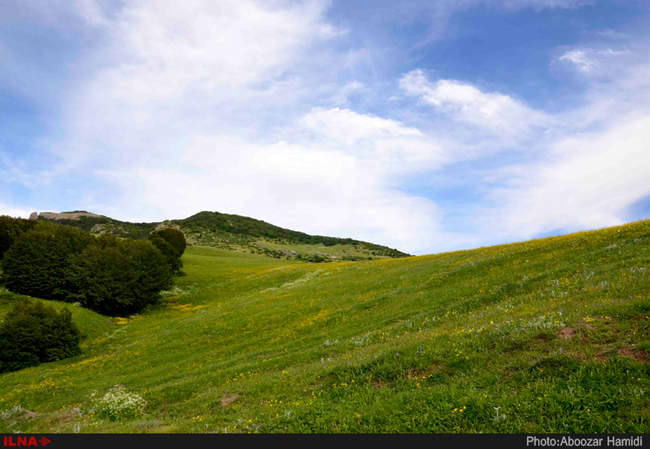 طبیعت بهاری رودبار گیلان