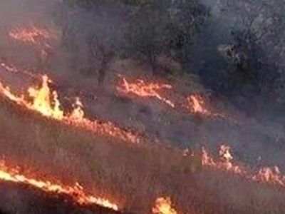  آتش‌سوزی گسترده در جنگل‌های پلدختر/ درخواست اعزام ۲ بالگرد