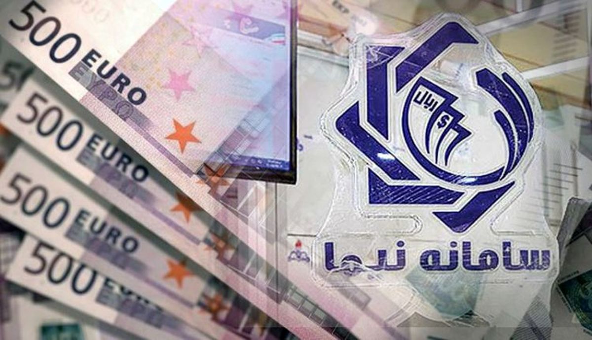 حذف قیمت از سامانه نیما باعث عدم شفافیت می‌شود/ ۶ ماه پول ریالی تولیدکننده‌ها نزد صرافی‌ها مانده است
