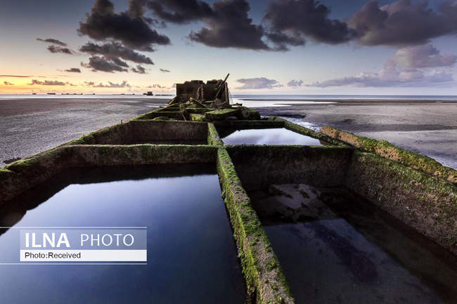 برترین عکس‌های تاریخی سال 2019