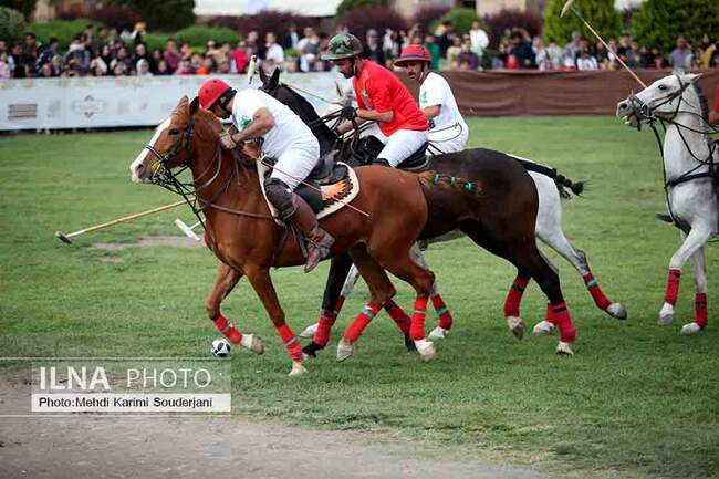 IMG_5078 copy