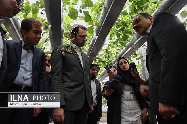 سفر یک روزه معاون وزیر کار  به استان قزوین