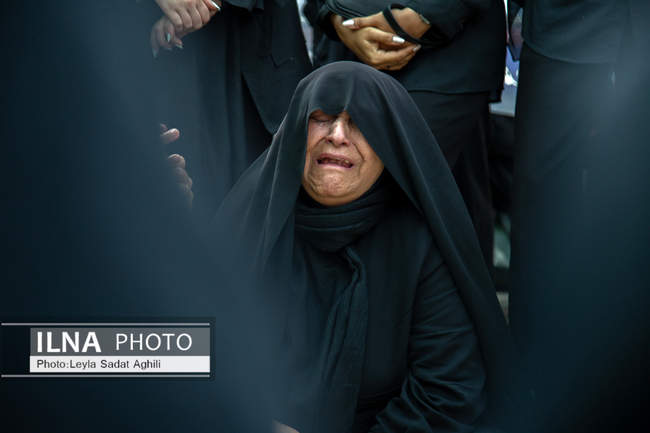 قطعه 42 نماد درد و صبر