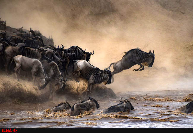 عکسهای برگزیده روز نشنال جئوگرافیک