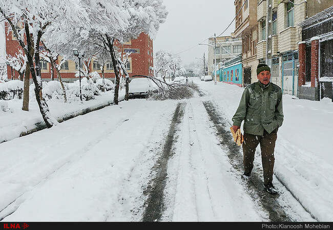 صبح برفی تهران