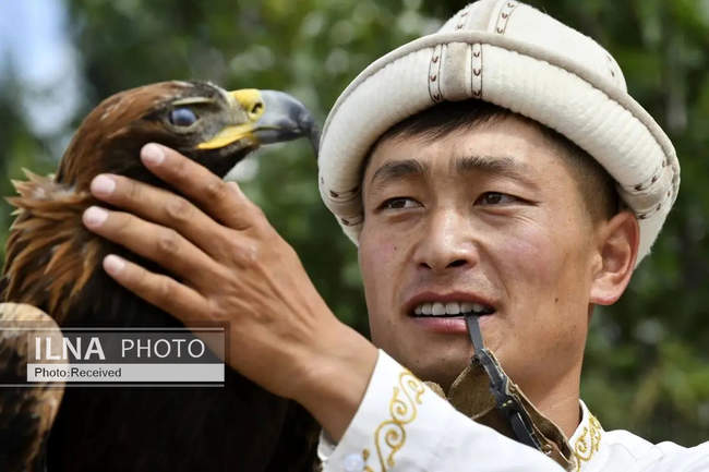 شکار با عقاب در قرقیزستان 