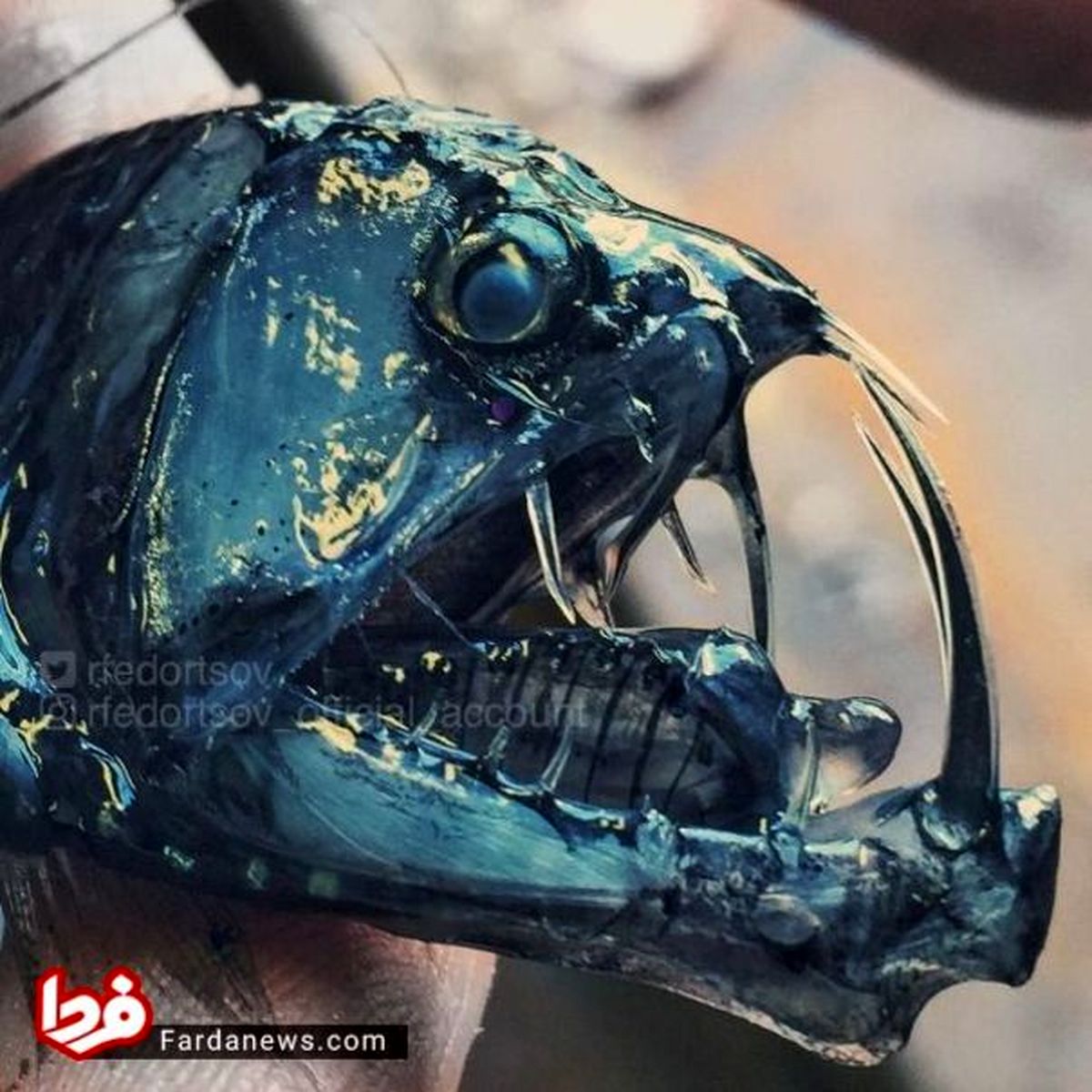 مرموزترین موجودات آبهای روسیه!
