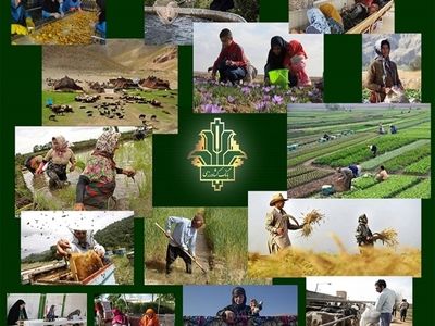 بانک کشاورزی همدان امسال بیش از 9 هزار میلیارد ریال تسهیلات پرداخت کرد