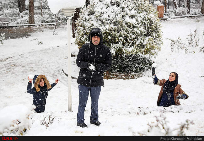 صبح برفی تهران