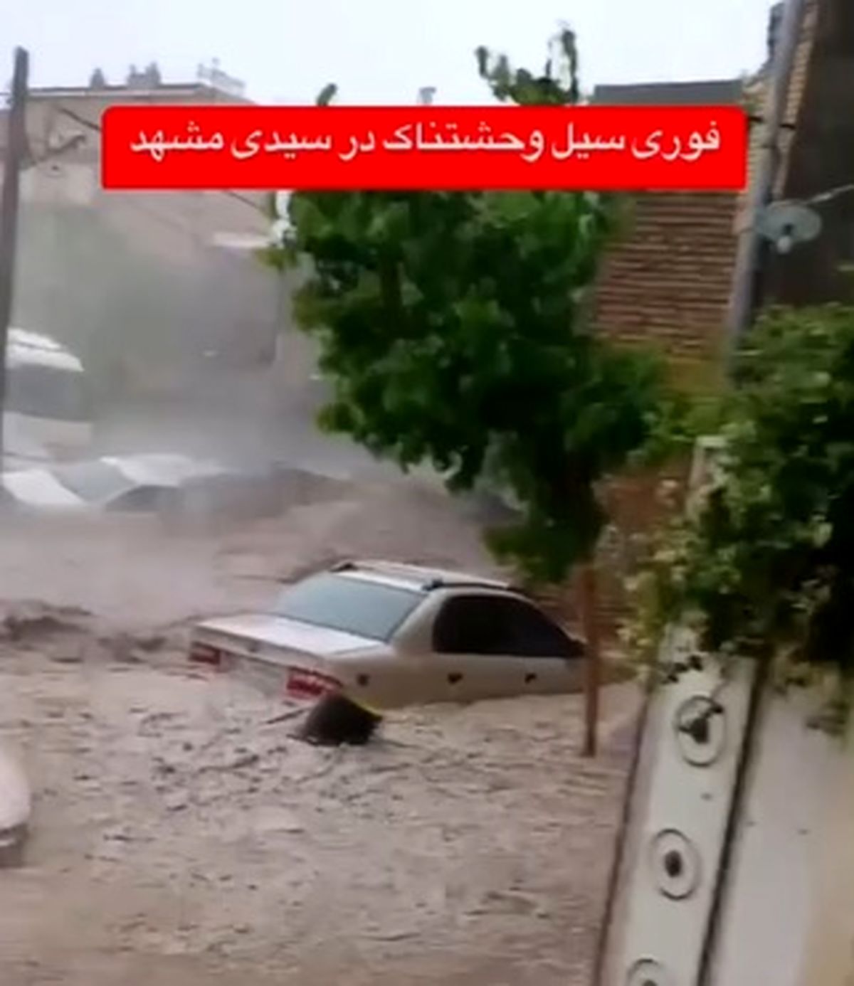 سیل وحشتناک در سیدی مشهد + فیلم