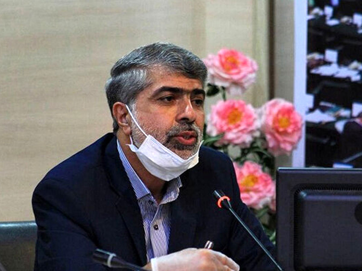 مجلس حامی جدی صنعت خودرو است/ تأکید بر نقش موثر سایپا در رونق تولید کشور