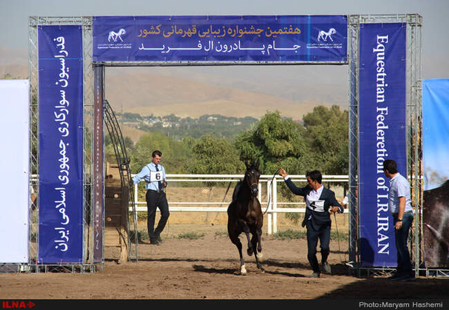 هفتمین دوره مسابقات زیبایی کشور جام ( پادرون ال فرید )