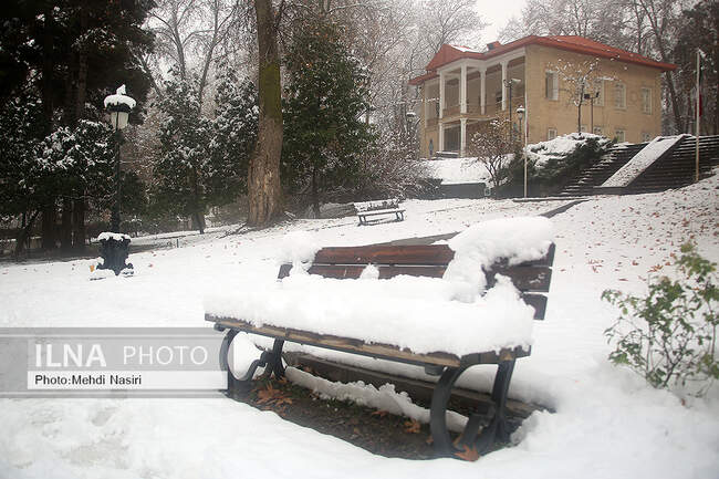 برف زمستانی در سعدآباد