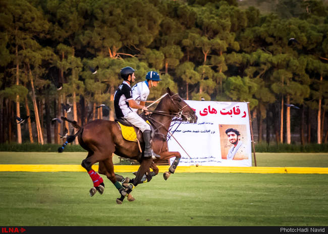 رقابتهای چوگان جام مدافعین حرم- بزرگداشت شهید حججی/مسابقه تیمهای نور