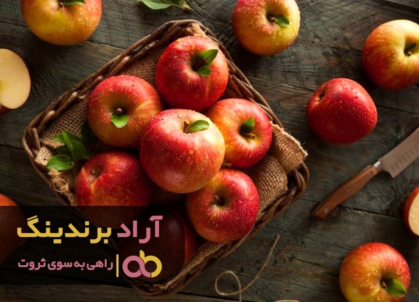 راه های سریع و راحت برای کسب ثروت زیاد