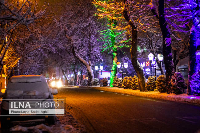 تهران در یک شب سرد برفی