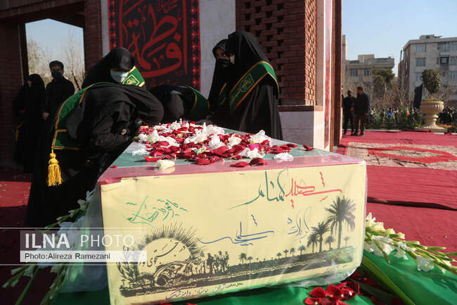 C61A0337