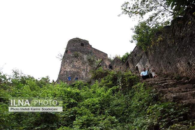 IMG_1974 copy