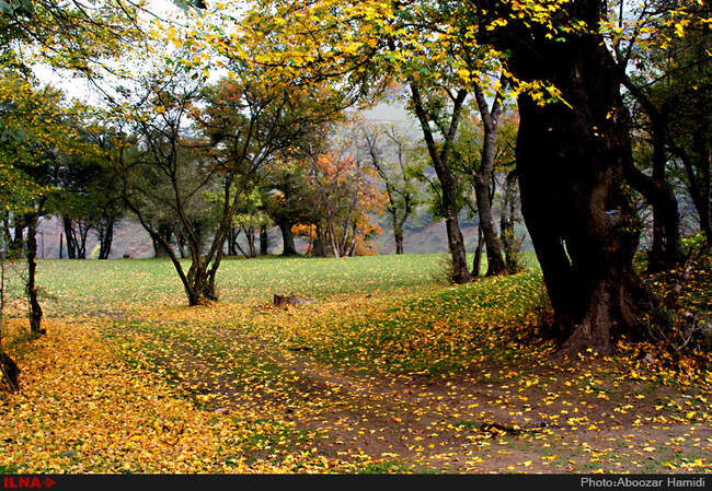 بازی رنگها در رودبار گیلان