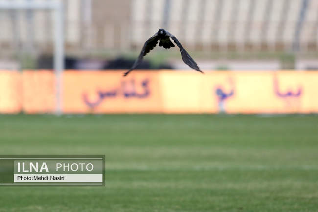 دیدار تیمهای فوتبال پرسپولیس تهران و پیکان