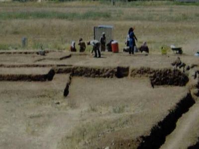 کشت یونجه و صیفی‌جات در محوطه تاریخی شکارگاه خسرو