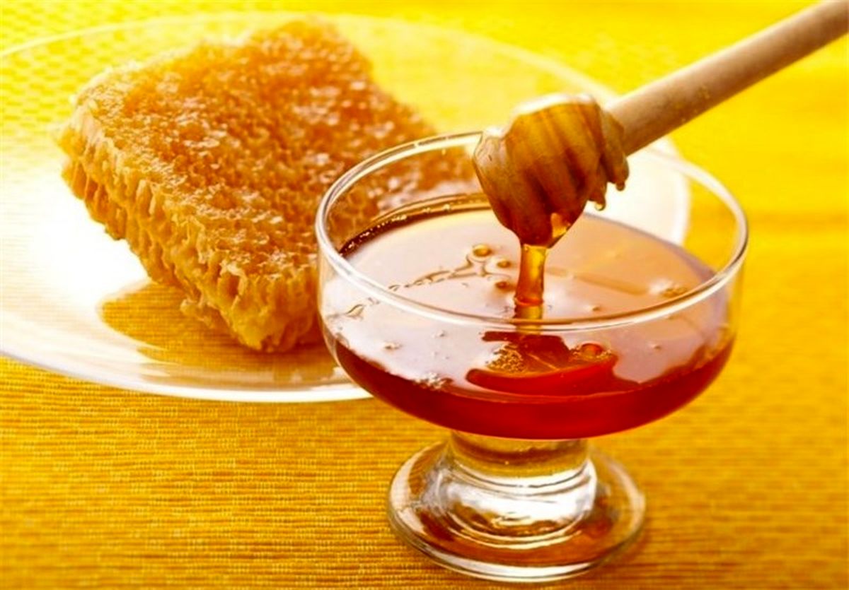 نخستین کارخانه‌ فرآوری و بسته‌بندی عسل در کردستان احداث می‌شود