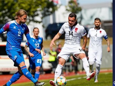 ایسلند 1- 0 آلبانی؛ برد اقتصادی و کم دردسر ایسلند