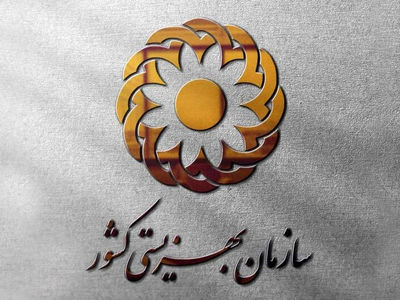 پایش خانه‌به‌خانه در ۱۴۲ محله/ شناسایی ۲۰۸۱ خانوار نیازمند جدید 