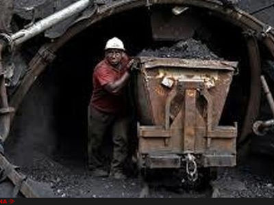 نخود و لوبیا مستحق ارز دولتی هستند اما لوکوموتیو معدن خیر؟!