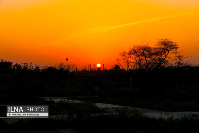 *سایه‌ی غروب در قلب آبادان؛ روایت تصویری از زندگی، نگاه و نفس‌های آخ