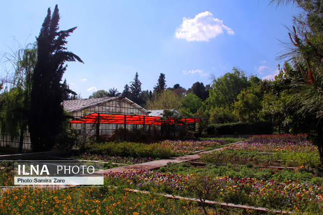  فصل بهار در باغ ارم شیراز
