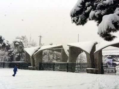 آزادی تعدادی از دانشجویان بازداشتی دانشگاه تهران/ در حال پیگیری آزادی سایر دانشجویان هستیم