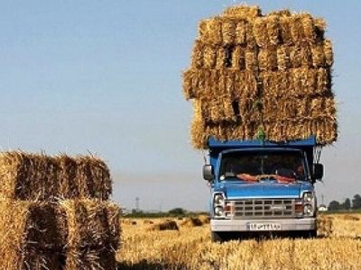 ممنوعیت خروج بدون مجوز هرگونه نهاده‌ دامی، کاه و کلش از کرمانشاه 