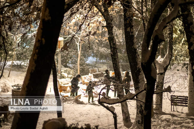 تهران در یک شب سرد برفی