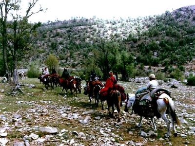 بیش از 2 هزار و 500 پنل خورشیدی در میان جامعه عشایر توزیع شده است