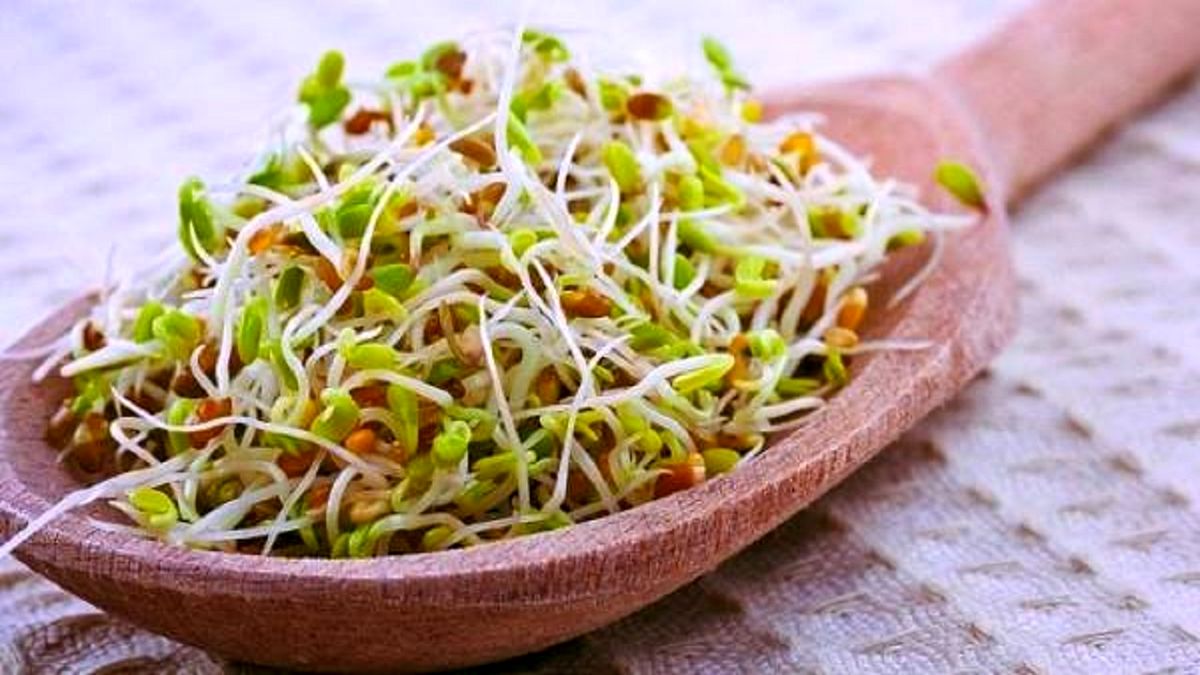 آشنایی با خواص جوانه گندم