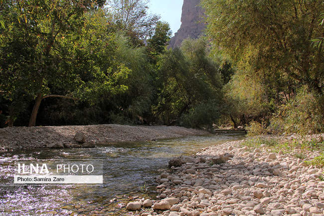 کشت برنج در دشت های ممنوعه فارس و کم آب شدن سد درودزن ومنطقه بهشت گمشد