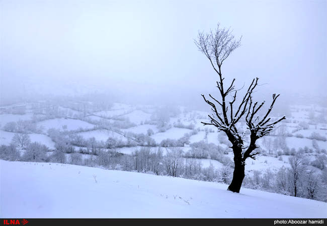 تقابل بهار و زمستان در واپسین روزهای سال- خورگام رودبار گیلان