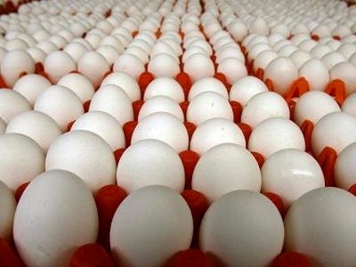 کشف 38 هزار عدد تخم مرغ احتکار شده در اسلام آبادغرب