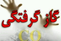 هشدار پزشکی قانونی درباره افزایش گازگرفتگی در فصل سرما