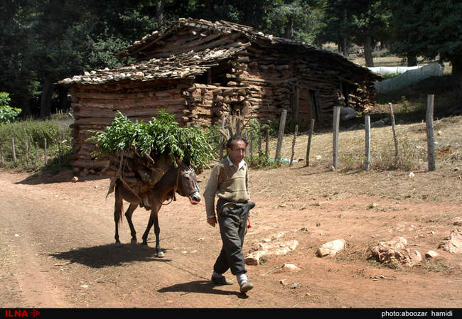 گذری بر بلندای بام گیلان (درفک) 