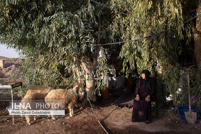عبور زائران اربعین حسینی از مرز خسروی