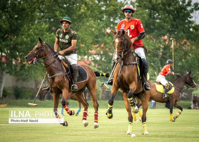 مسابقات چوگان جام بهران - خرگوش دره با نزاجا