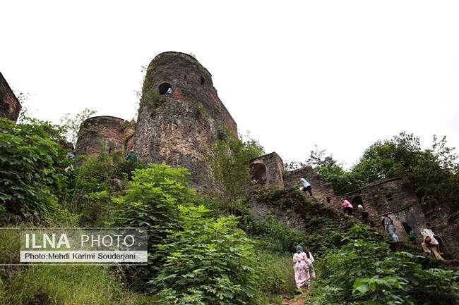 IMG_1984 copy